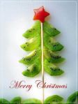 Kiwi-Christmas-tree